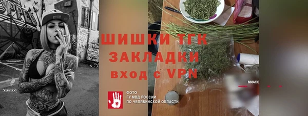 МДПВ Протвино