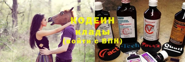 МДПВ Протвино