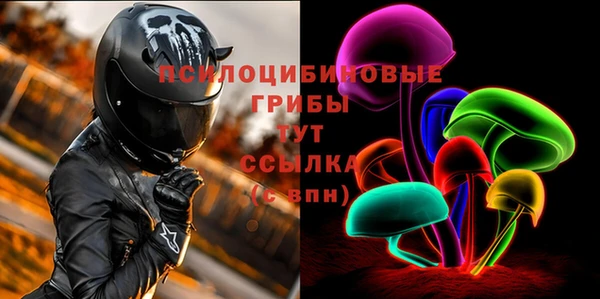 ПСИЛОЦИБИНОВЫЕ ГРИБЫ Приозерск