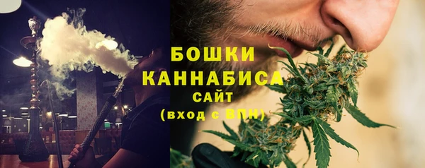 МДПВ Протвино