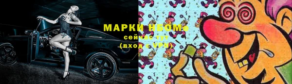 МДПВ Протвино