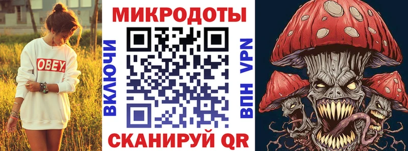 Псилоцибиновые грибы Psilocybe Сурск